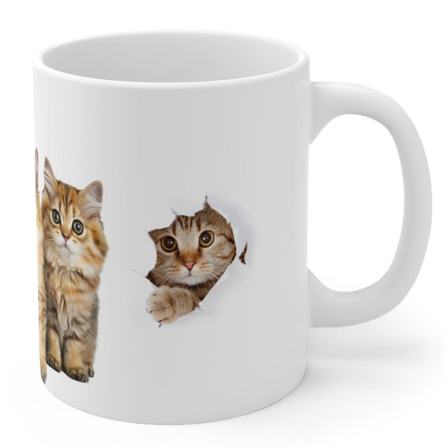 I'M WATCHING YOU CATS MUG - MUSGCITY - Free Shipping